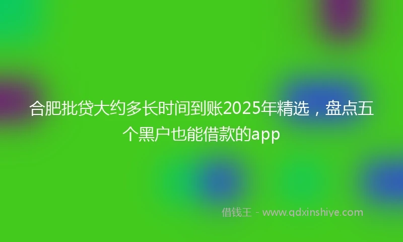 合肥批贷大约多长时间到账2025年精选，盘点五个黑户也能借款的app