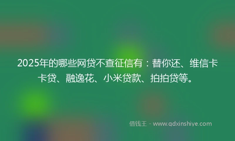 2025年的哪些网贷不查征信有：替你还、维信卡卡贷、融逸花、小米贷款、拍拍贷等。