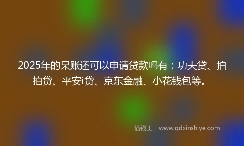 2025年的呆账还可以申请贷款吗有：功夫贷、拍拍贷、平安i贷、京东金融、小花钱包等。