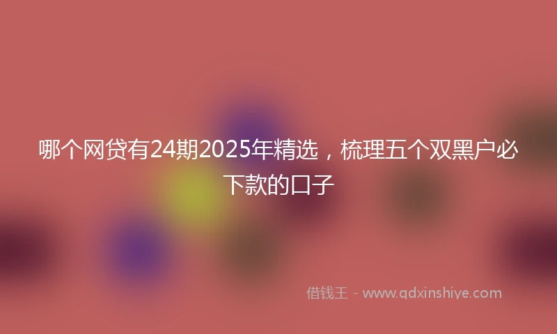 哪个网贷有24期2025年精选，梳理五个双黑户必下款的口子