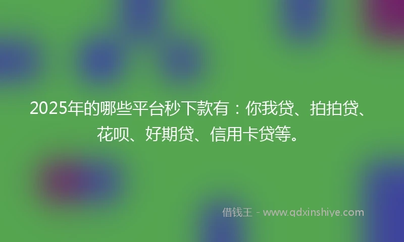 2025年的哪些平台秒下款有：你我贷、拍拍贷、花呗、好期贷、信用卡贷等。
