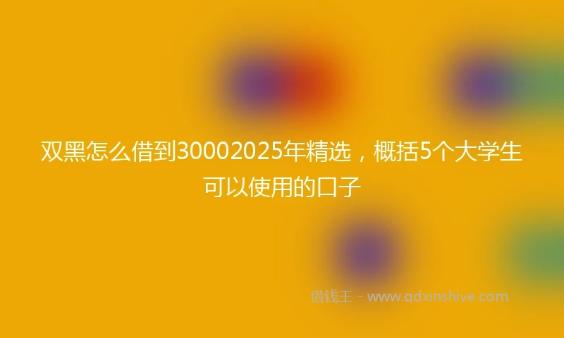 双黑怎么借到30002025年精选，概括5个大学生可以使用的口子