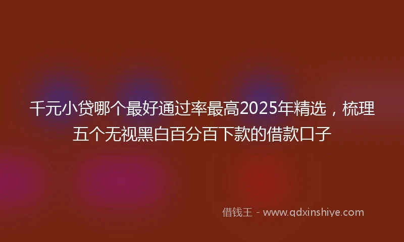 千元小贷哪个最好通过率最高2025年精选，梳理五个无视黑白百分百下款的借款口子