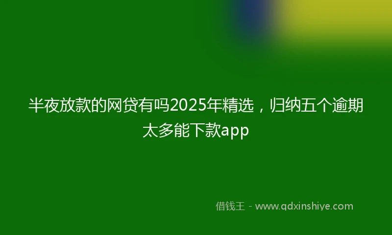 半夜放款的网贷有吗2025年精选，归纳五个逾期太多能下款app