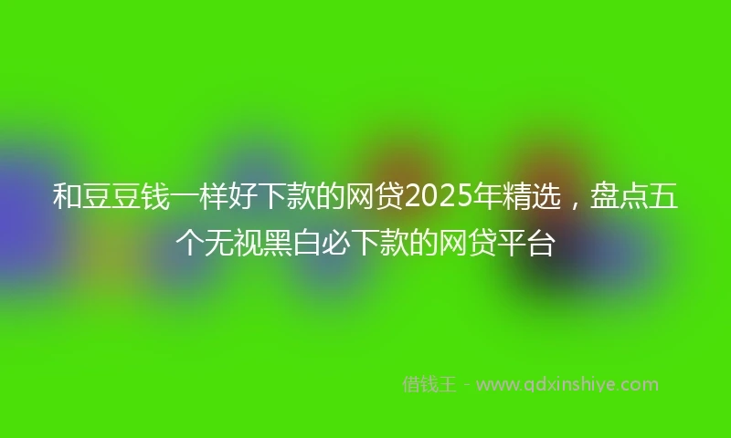 和豆豆钱一样好下款的网贷2025年精选，盘点五个无视黑白必下款的网贷平台
