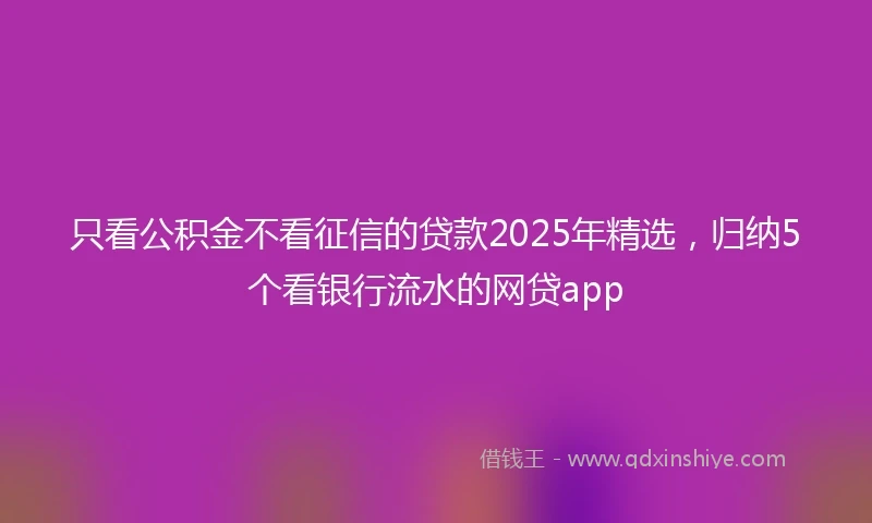 只看公积金不看征信的贷款2025年精选，归纳5个看银行流水的网贷app