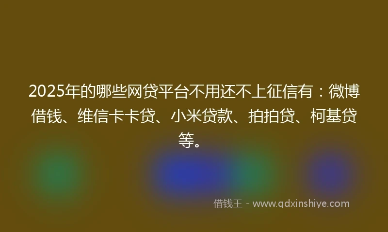 2025年的哪些网贷平台不用还不上征信有:微博借钱、维信卡卡贷、小米贷款、拍拍贷、柯基贷等。
