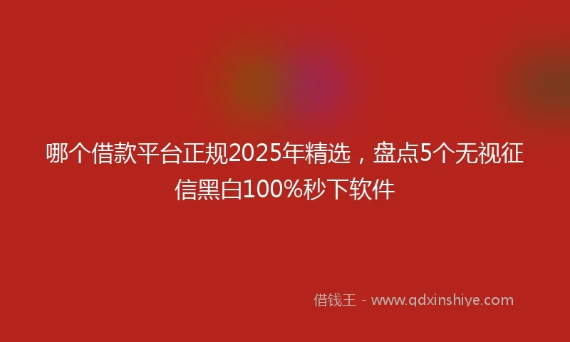 哪个借款平台正规2025年精选，盘点5个无视征信黑白100%秒下软件