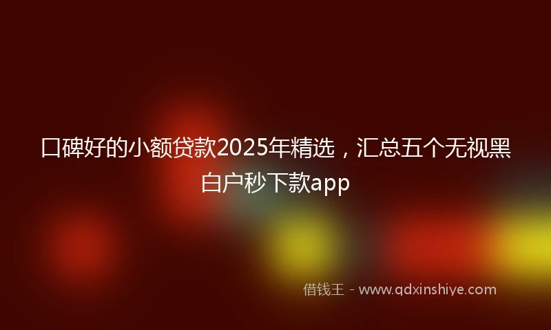 口碑好的小额贷款2025年精选，汇总五个无视黑白户秒下款app