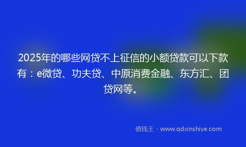 2025年的哪些网贷不上征信的小额贷款可以下款有：e微贷、功夫贷、中原消费金融、东方汇、团贷网等。
