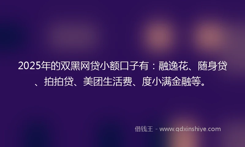 2025年的双黑网贷小额口子有：融逸花、随身贷、拍拍贷、美团生活费、度小满金融等。