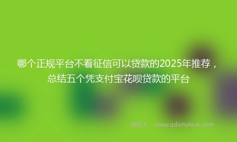 哪个正规平台不看征信可以贷款的2025年推荐，总结五个凭支付宝花呗贷款的平台