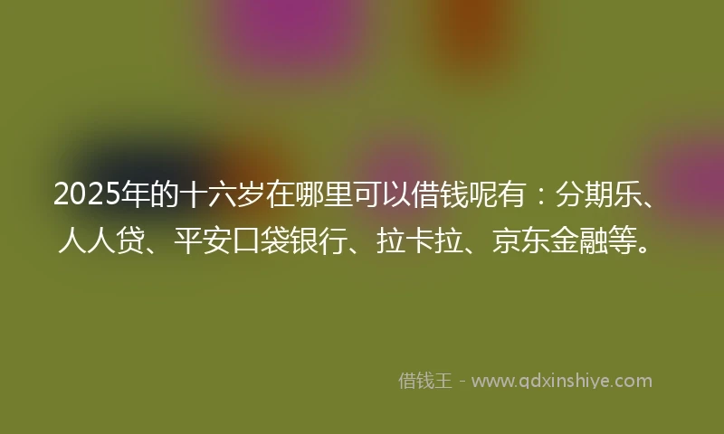 2025年的十六岁在哪里可以借钱呢有:分期乐、人人贷、平安口袋银行、拉卡拉、京东金融等。
