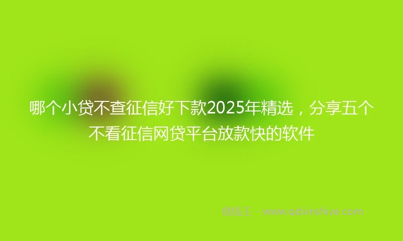 哪个小贷不查征信好下款2025年精选，分享五个不看征信网贷平台放款快的软件