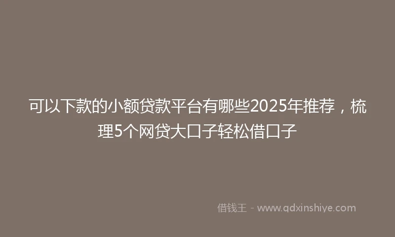 可以下款的小额贷款平台有哪些2025年推荐，梳理5个网贷大口子轻松借口子