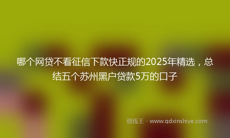 哪个网贷不看征信下款快正规的2025年精选，总结五个苏州黑户贷款5万的口子