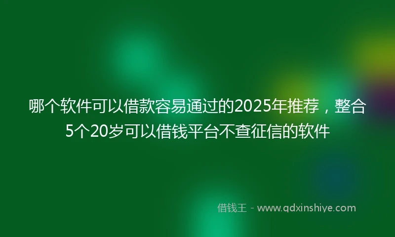 哪个软件可以借款容易通过的2025年推荐，整合5个20岁可以借钱平台不查征信的软件