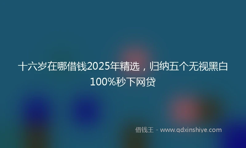 十六岁在哪借钱2025年精选，归纳五个无视黑白100%秒下网贷