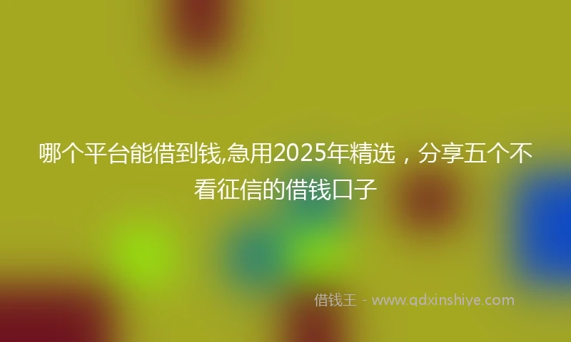 哪个平台能借到钱,急用2025年精选，分享五个不看征信的借钱口子