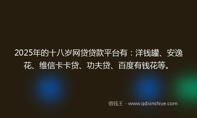 2025年的十八岁网贷贷款平台有：洋钱罐、安逸花、维信卡卡贷、功夫贷、百度有钱花等。