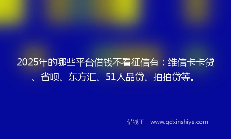2025年的哪些平台借钱不看征信有：维信卡卡贷、省呗、东方汇、51人品贷、拍拍贷等。