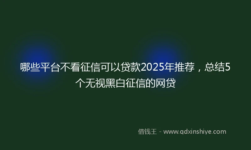 哪些平台不看征信可以贷款2025年推荐，总结5个无视黑白征信的网贷