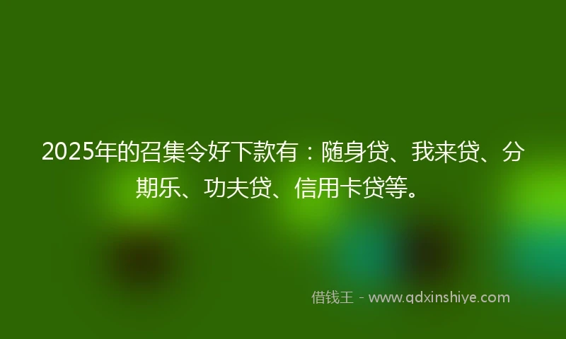2025年的召集令好下款有：随身贷、我来贷、分期乐、功夫贷、信用卡贷等。