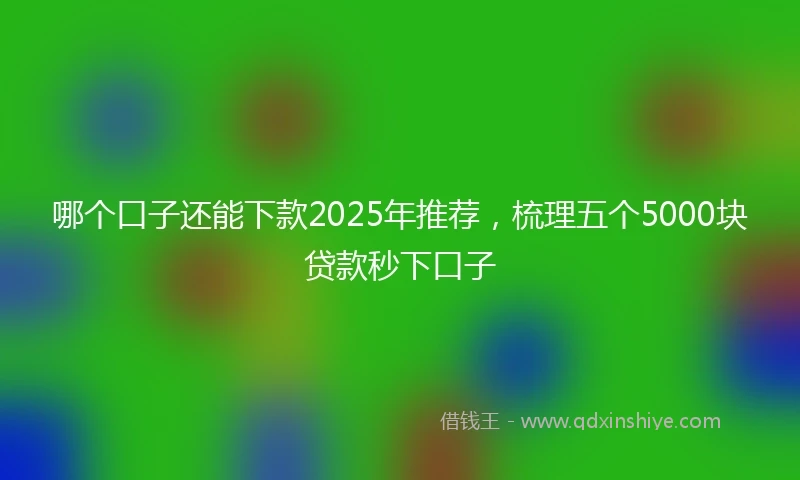 哪个口子还能下款2025年推荐，梳理五个5000块贷款秒下口子