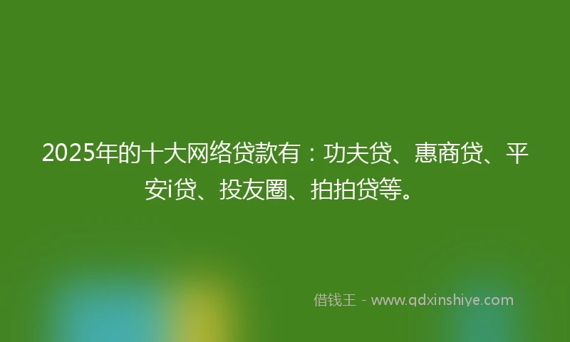 2025年的十大网络贷款有：功夫贷、惠商贷、平安i贷、投友圈、拍拍贷等。