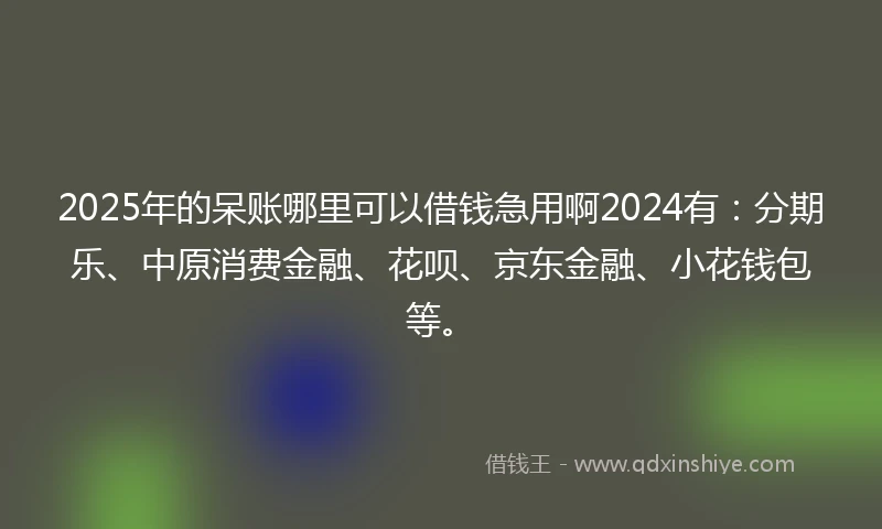 2025年的呆账哪里可以借钱急用啊2024有：分期乐、中原消费金融、花呗、京东金融、小花钱包等。