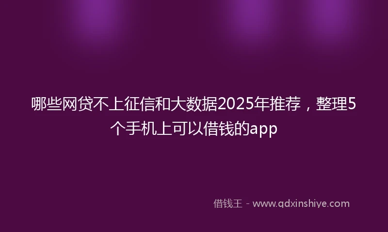 哪些网贷不上征信和大数据2025年推荐，整理5个手机上可以借钱的app