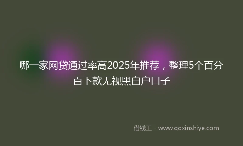 哪一家网贷通过率高2025年推荐，整理5个百分百下款无视黑白户口子