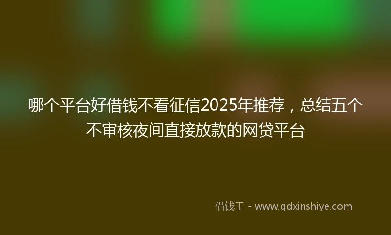 哪个平台好借钱不看征信2025年推荐，总结五个不审核夜间直接放款的网贷平台