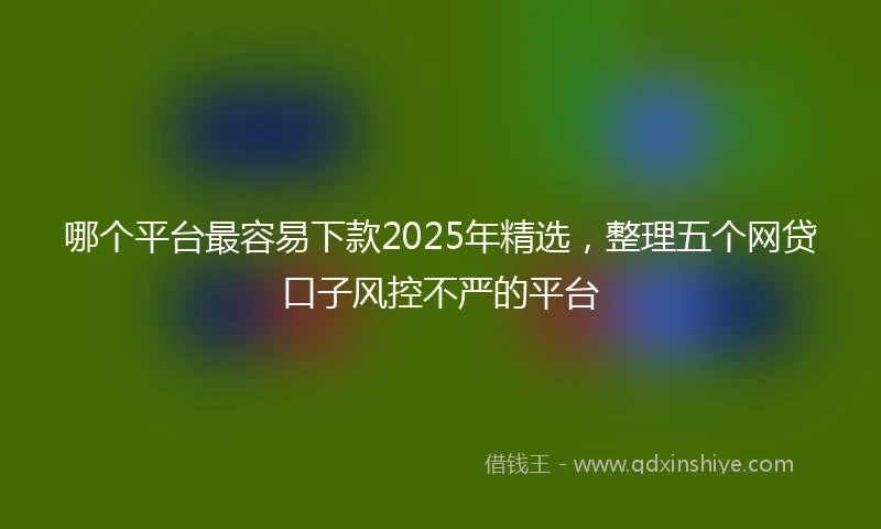 哪个平台最容易下款2025年精选,整理五个网贷口子风控不严的平台