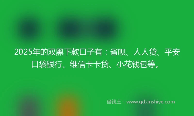 2025年的双黑下款口子有：省呗、人人贷、平安口袋银行、维信卡卡贷、小花钱包等。