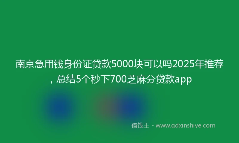 南京急用钱身份证贷款5000块可以吗2025年推荐，总结5个秒下700芝麻分贷款app