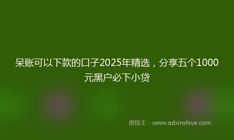 呆账可以下款的口子2025年精选，分享五个1000元黑户必下小贷