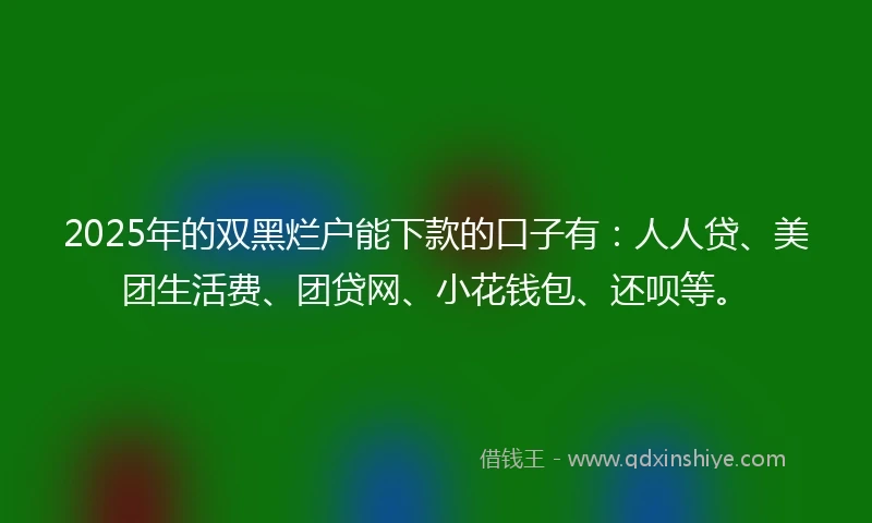 2025年的双黑烂户能下款的口子有：人人贷、美团生活费、团贷网、小花钱包、还呗等。