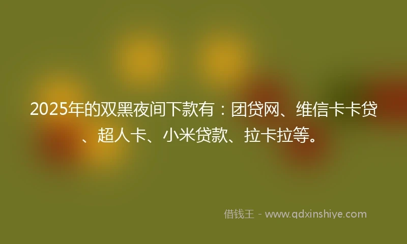 2025年的双黑夜间下款有：团贷网、维信卡卡贷、超人卡、小米贷款、拉卡拉等。