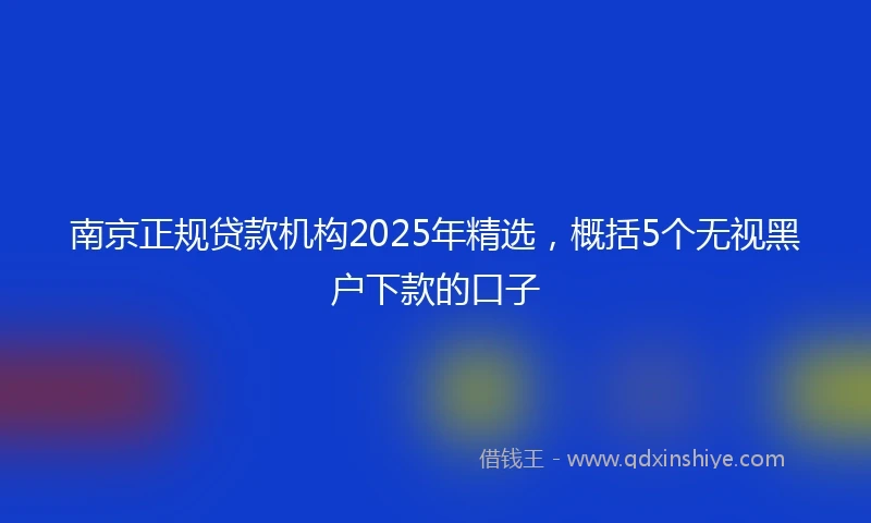 南京正规贷款机构2025年精选，概括5个无视黑户下款的口子