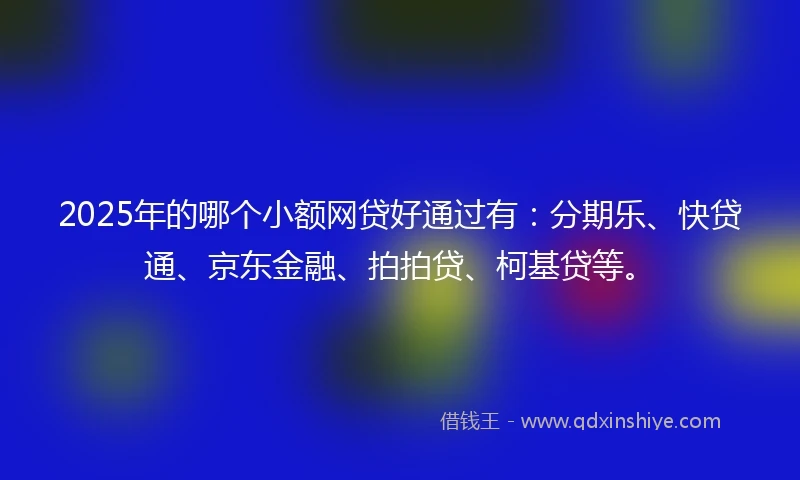 2025年的哪个小额网贷好通过有：分期乐、快贷通、京东金融、拍拍贷、柯基贷等。