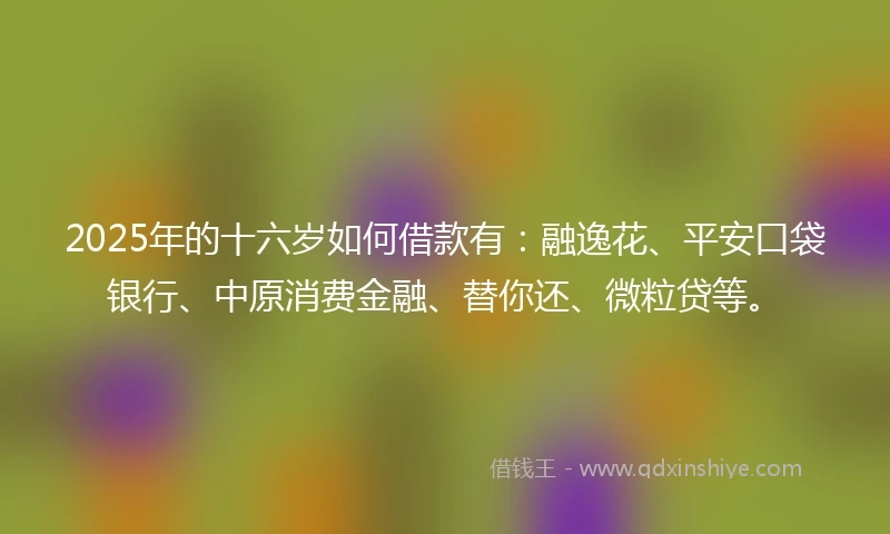 2025年的十六岁如何借款有：融逸花、平安口袋银行、中原消费金融、替你还、微粒贷等。