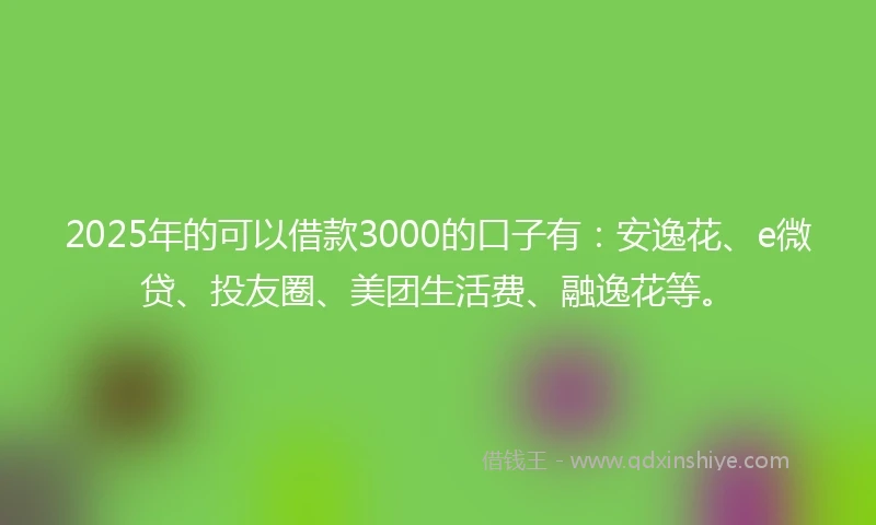 2025年的可以借款3000的口子有:安逸花、e微贷、投友圈、美团生活费、融逸花等。