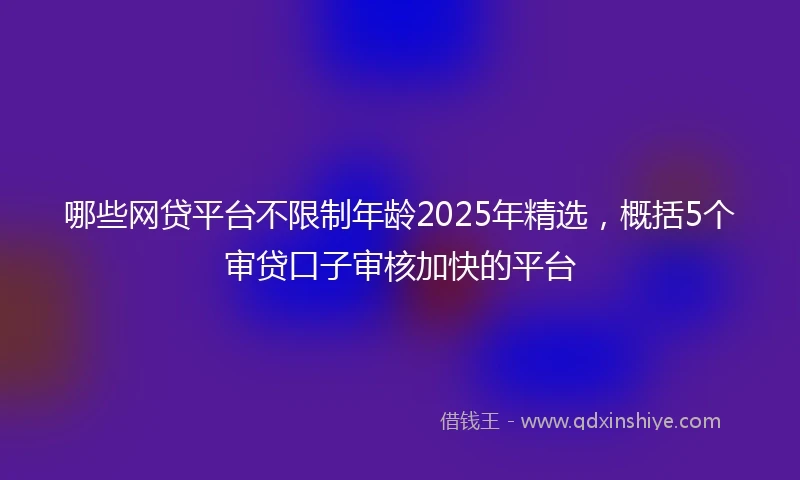 哪些网贷平台不限制年龄2025年精选，概括5个审贷口子审核加快的平台