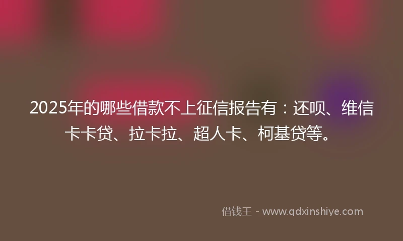 2025年的哪些借款不上征信报告有：还呗、维信卡卡贷、拉卡拉、超人卡、柯基贷等。