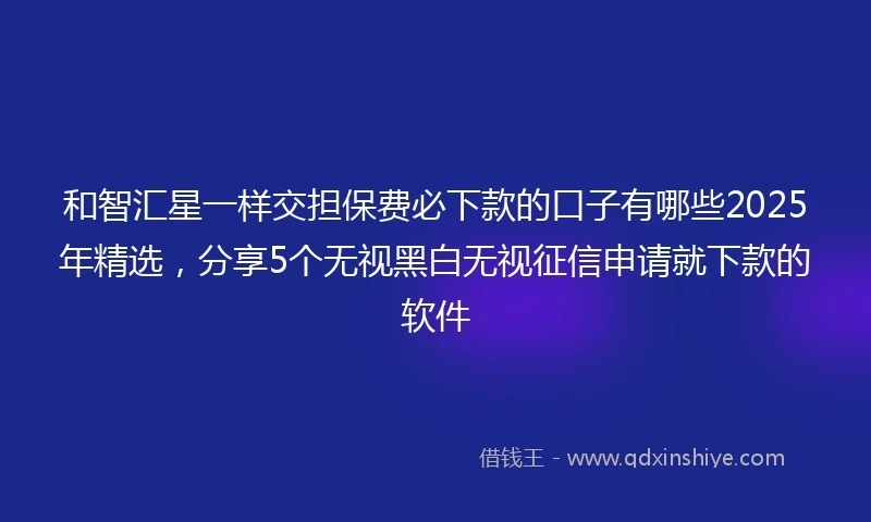 和智汇星一样交担保费必下款的口子有哪些2025年精选，分享5个无视黑白无视征信申请就下款的软件