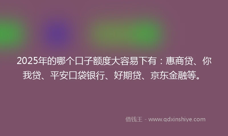 2025年的哪个口子额度大容易下有：惠商贷、你我贷、平安口袋银行、好期贷、京东金融等。