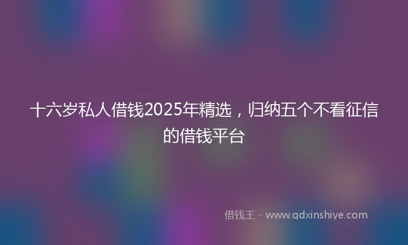 十六岁私人借钱2025年精选，归纳五个不看征信的借钱平台
