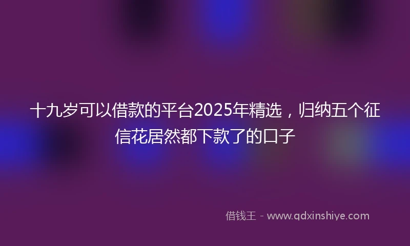 十九岁可以借款的平台2025年精选,归纳五个征信花居然都下款了的口子
