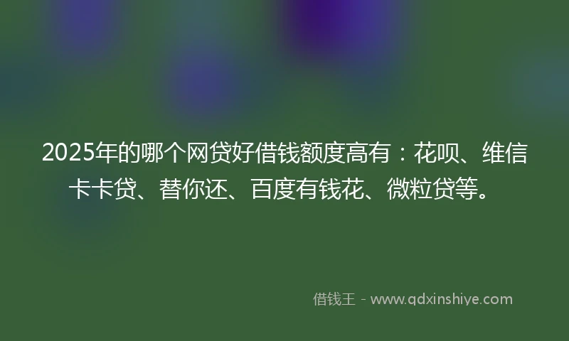 2025年的哪个网贷好借钱额度高有：花呗、维信卡卡贷、替你还、百度有钱花、微粒贷等。